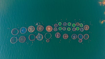 Gestión del ciclo de vida de productos con formularios inteligentes