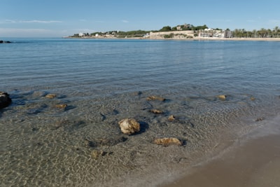 La mejor plataforma SaaS personalizada en Vilanova i la Geltrú