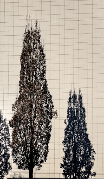 Validación de calibración con boosting trees en seguros