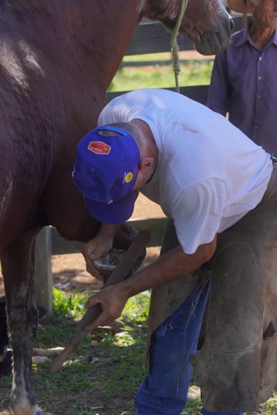 StableHand: Emparejamiento de flujo consciente de calidad para movimiento de dos manos en video egocéntrico