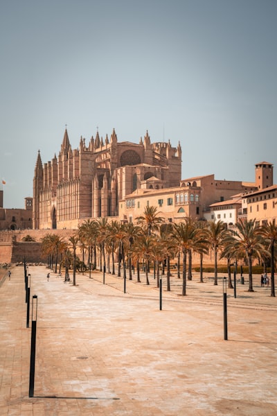 Directorio de los 100 expertos en software a medida en Palma